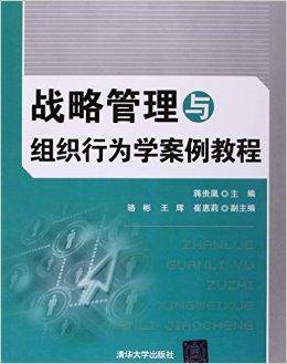 战略管理与组织行为学案例教程