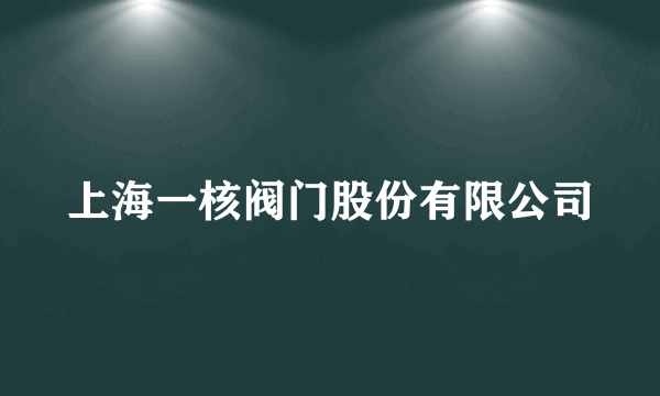 上海一核阀门股份有限公司