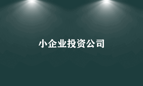 小企业投资公司