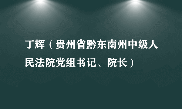 丁辉（贵州省黔东南州中级人民法院党组书记、院长）