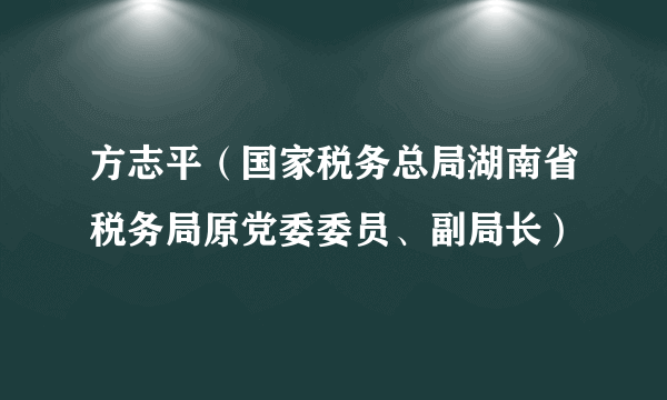 方志平（国家税务总局湖南省税务局原党委委员、副局长）