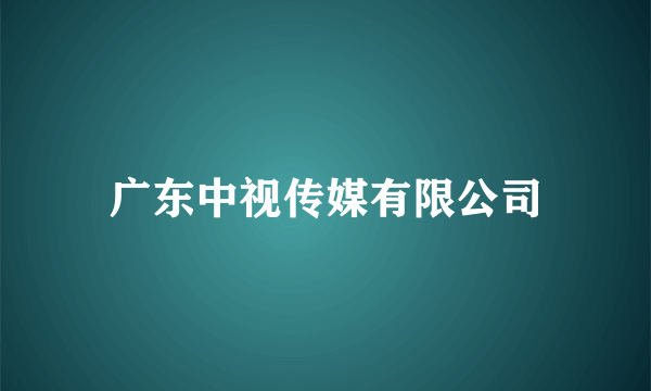 广东中视传媒有限公司