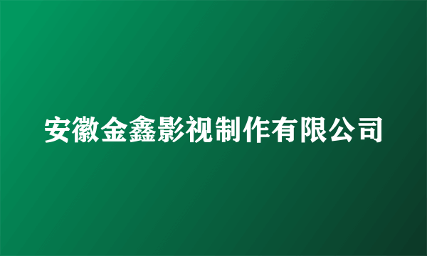 安徽金鑫影视制作有限公司