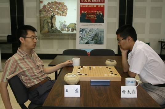 王磊（围棋棋手）