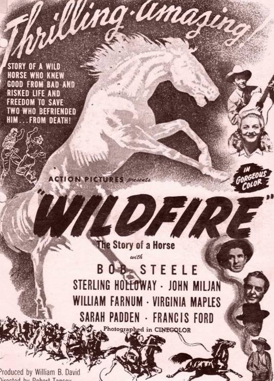 Wildfire（美国1945年Robert Emmett Tansey执导的电影）