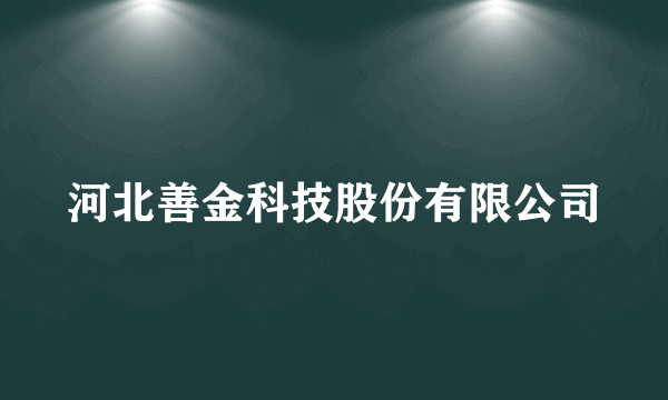 河北善金科技股份有限公司