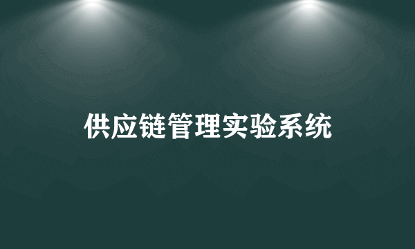 供应链管理实验系统