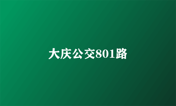 大庆公交801路