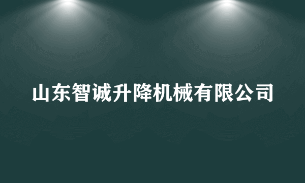 山东智诚升降机械有限公司