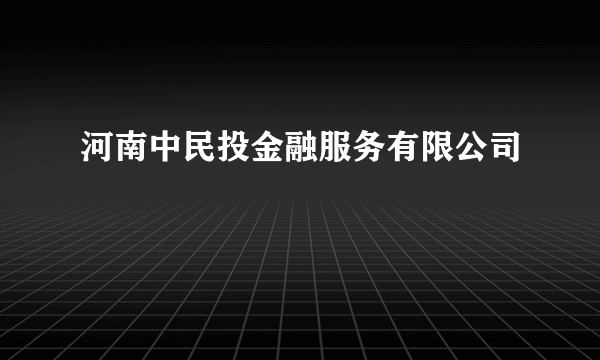 河南中民投金融服务有限公司