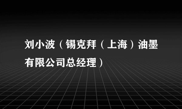 刘小波（锡克拜（上海）油墨有限公司总经理）