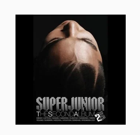 Song For You（SUPER JUNIOR演唱歌曲）