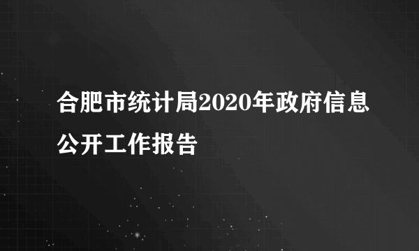 合肥市统计局2020年政府信息公开工作报告