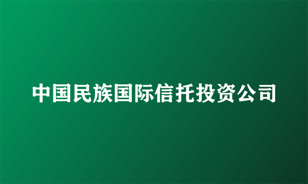 中国民族国际信托投资公司