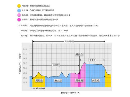 基础体温曲线图