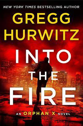 Into the Fire（2020年Minotaur Books出版的图书）