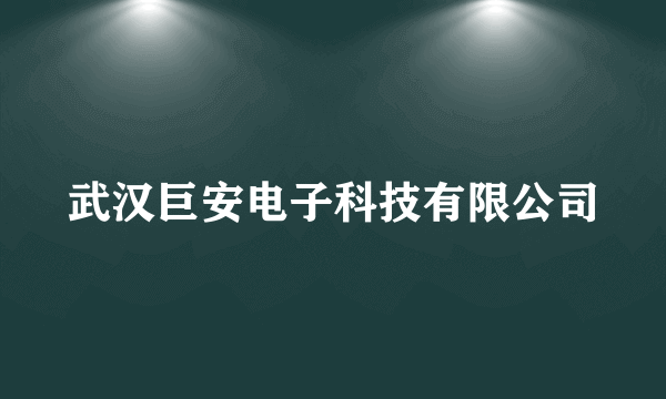 武汉巨安电子科技有限公司