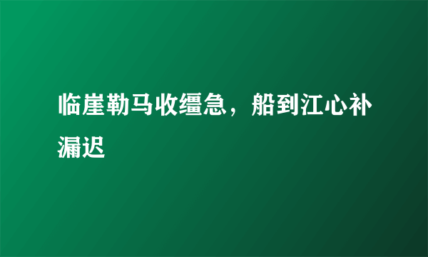 临崖勒马收缰急，船到江心补漏迟