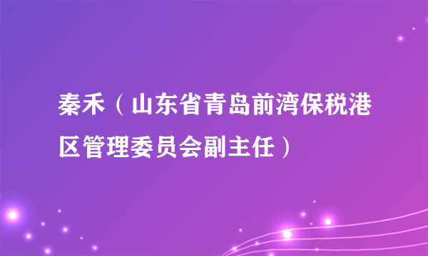 秦禾（山东省青岛前湾保税港区管理委员会副主任）