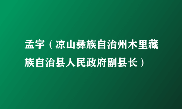 孟宇（凉山彝族自治州木里藏族自治县人民政府副县长）