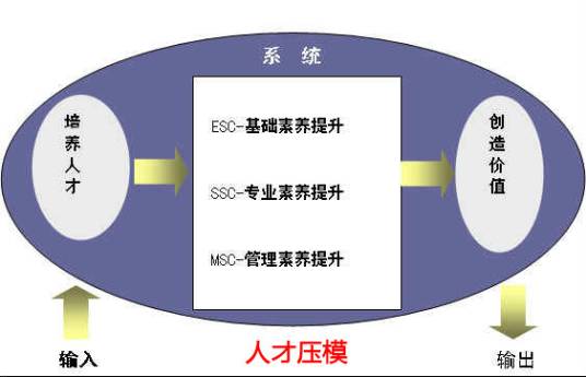 人才压模