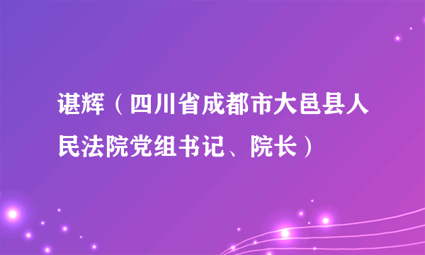 谌辉（四川省成都市大邑县人民法院党组书记、院长）