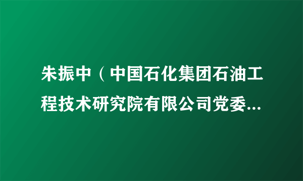 朱振中（中国石化集团石油工程技术研究院有限公司党委副书记、纪委书记、监事）