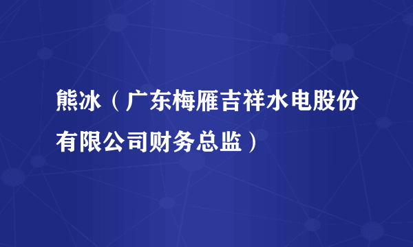 熊冰（广东梅雁吉祥水电股份有限公司财务总监）