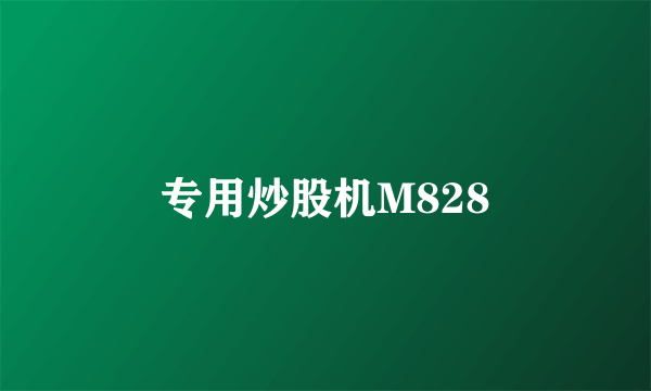 专用炒股机M828