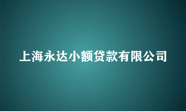 上海永达小额贷款有限公司