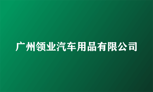 广州领业汽车用品有限公司