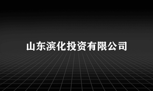 山东滨化投资有限公司