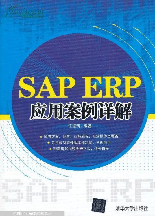 SAP ERP应用案例详解