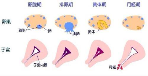 白带过多