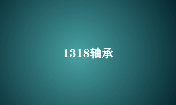 1318轴承