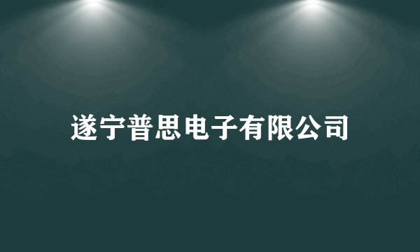 遂宁普思电子有限公司