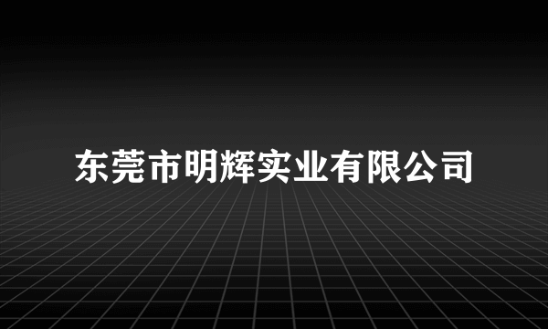 东莞市明辉实业有限公司