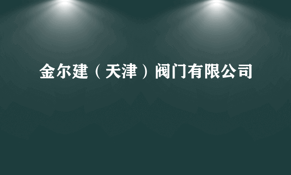 金尔建（天津）阀门有限公司