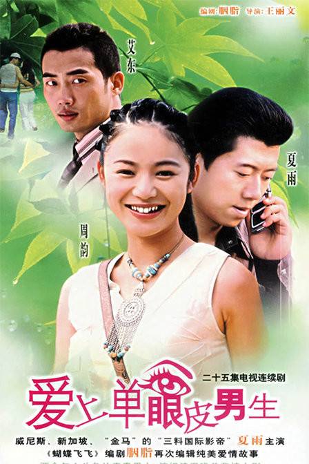 爱上单眼皮男生（2005年夏雨、周韵主演的电视剧）