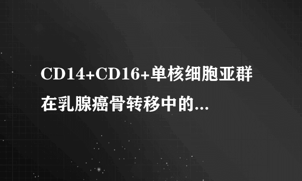 CD14+CD16+单核细胞亚群在乳腺癌骨转移中的作用及机制研究