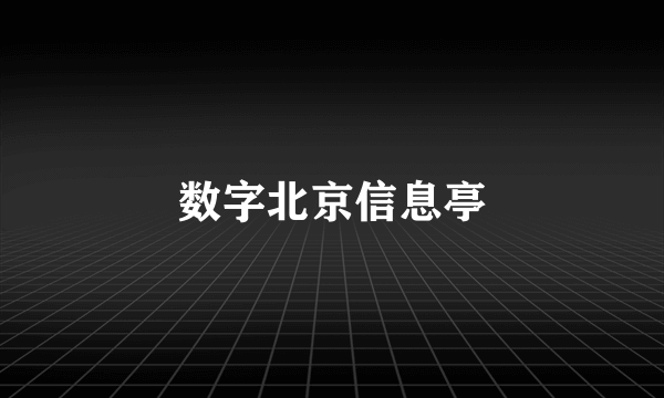 数字北京信息亭