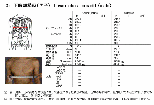 下胸宽