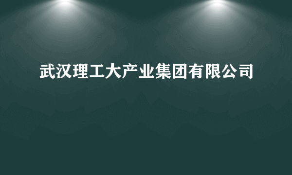 武汉理工大产业集团有限公司