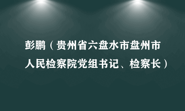 彭鹏（贵州省六盘水市盘州市人民检察院党组书记、检察长）