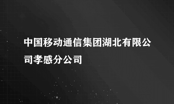 中国移动通信集团湖北有限公司孝感分公司