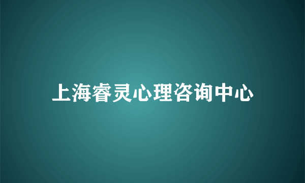 上海睿灵心理咨询中心