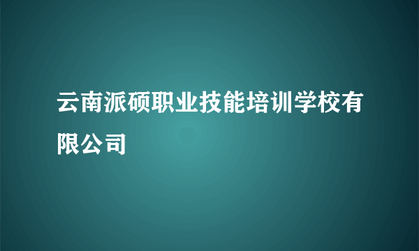 云南派硕职业技能培训学校有限公司