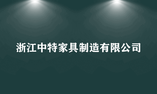 浙江中特家具制造有限公司