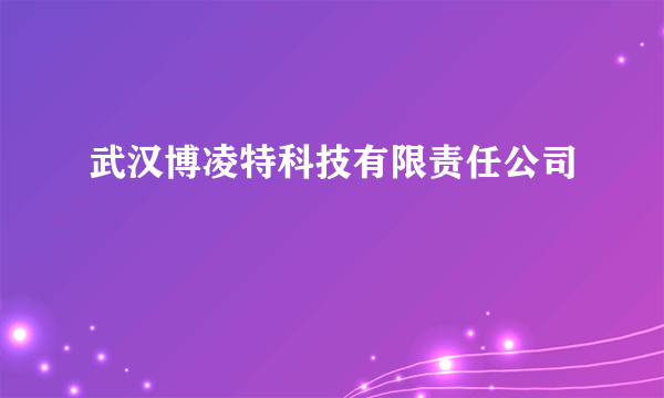 武汉博凌特科技有限责任公司