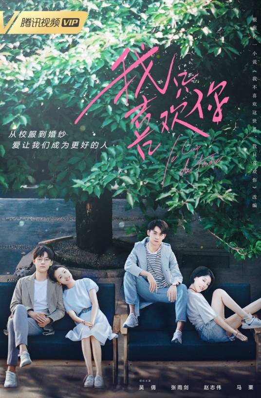 我只喜欢你（2018年吴倩、张雨剑主演的都市爱情电视剧）